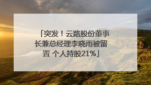 突发！云路股份董事长兼总经理李晓雨被留置 个人持股21%
